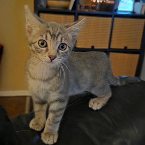 Tiny