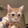 Atticus - Photo 1