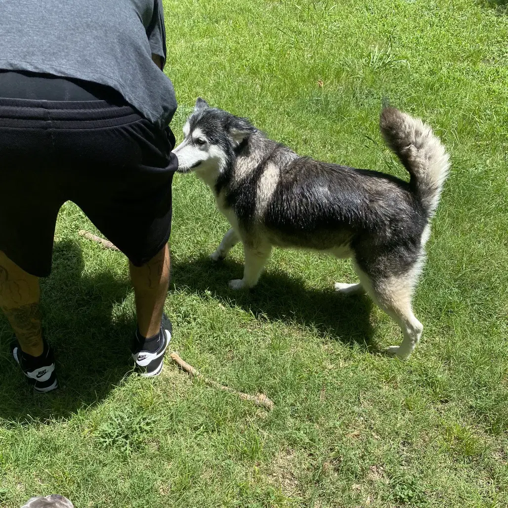 Sammie image 2