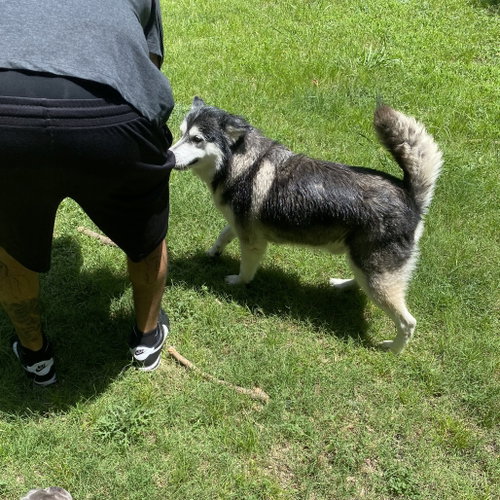 Photo 2 of Sammie