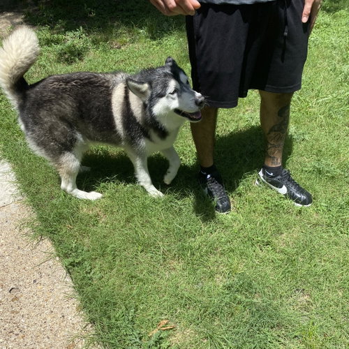 Photo 4 of Sammie