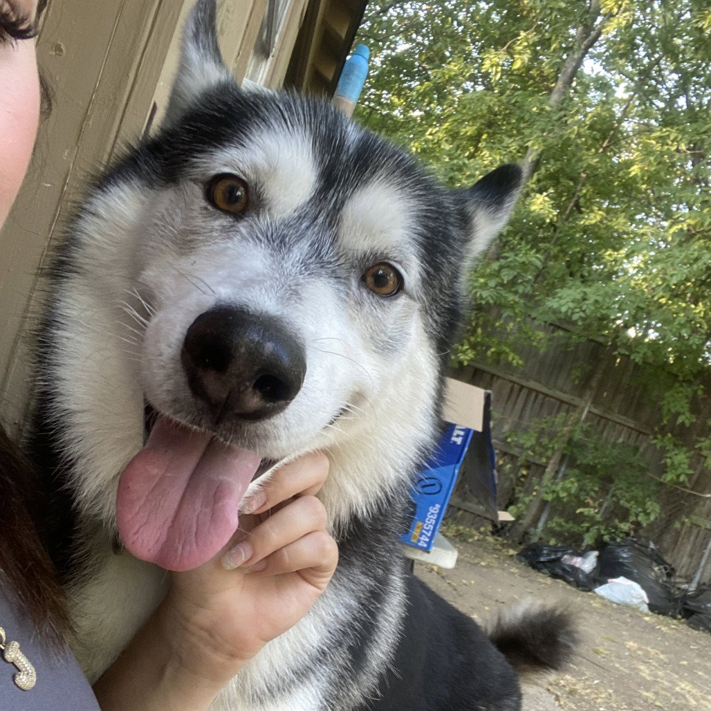Sammie