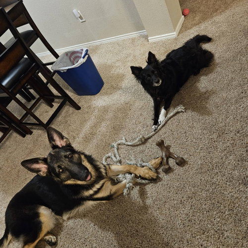 Nyla Iii photo 4