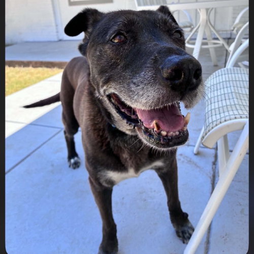 Janet, photo 4