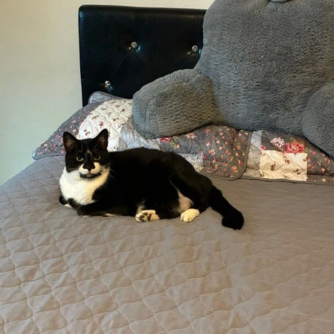 Sprinkles New Digs