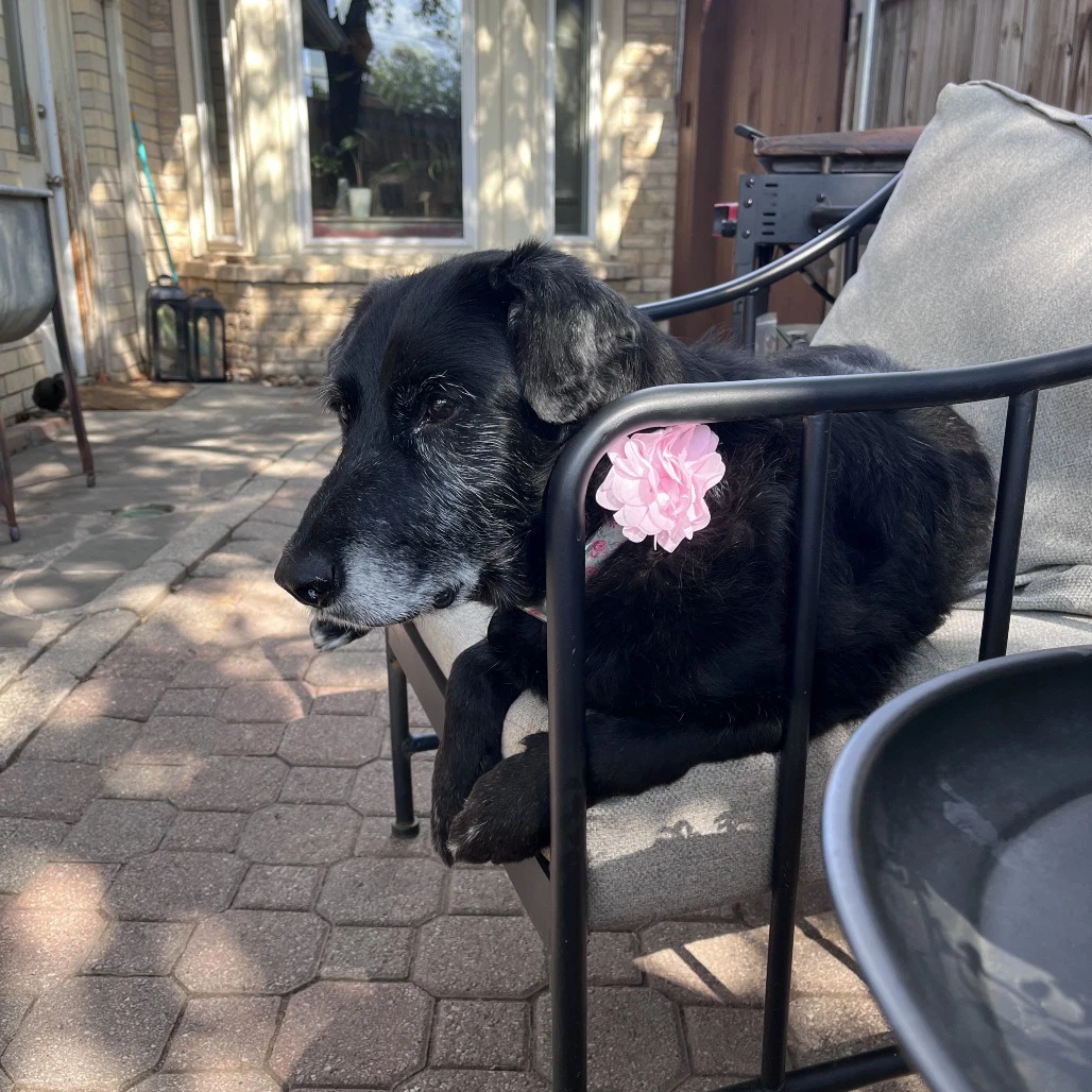 Greta