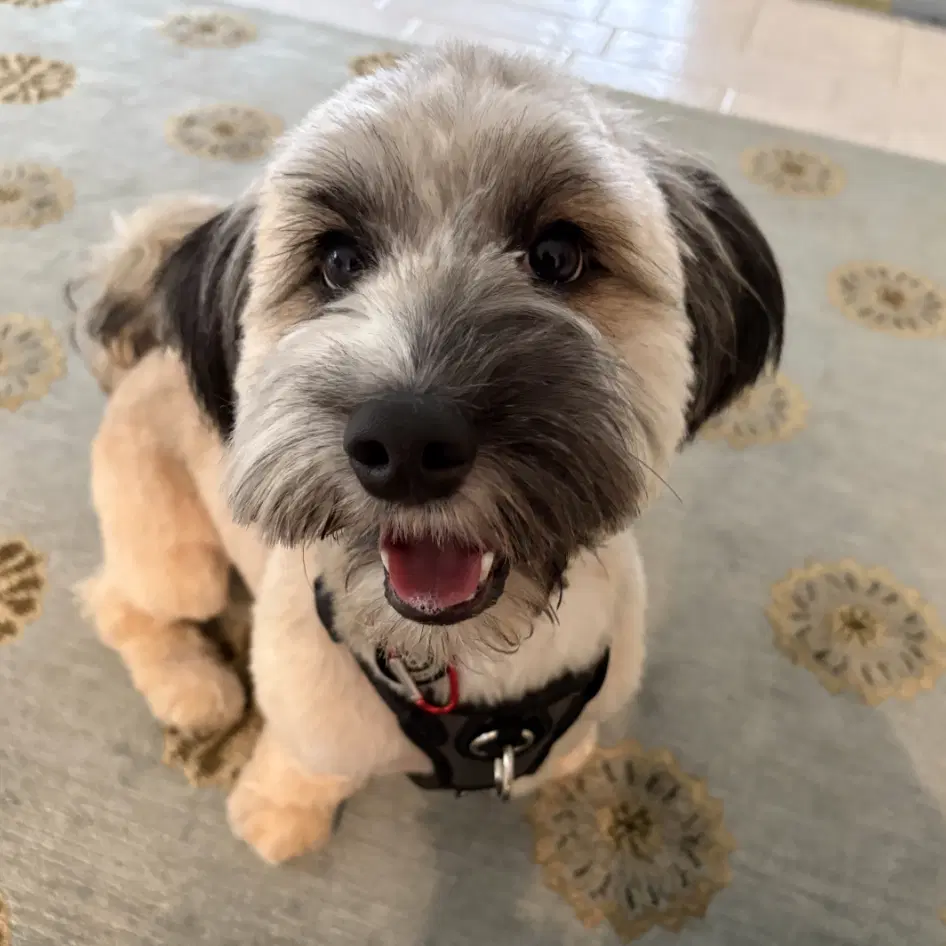 Albie image 2