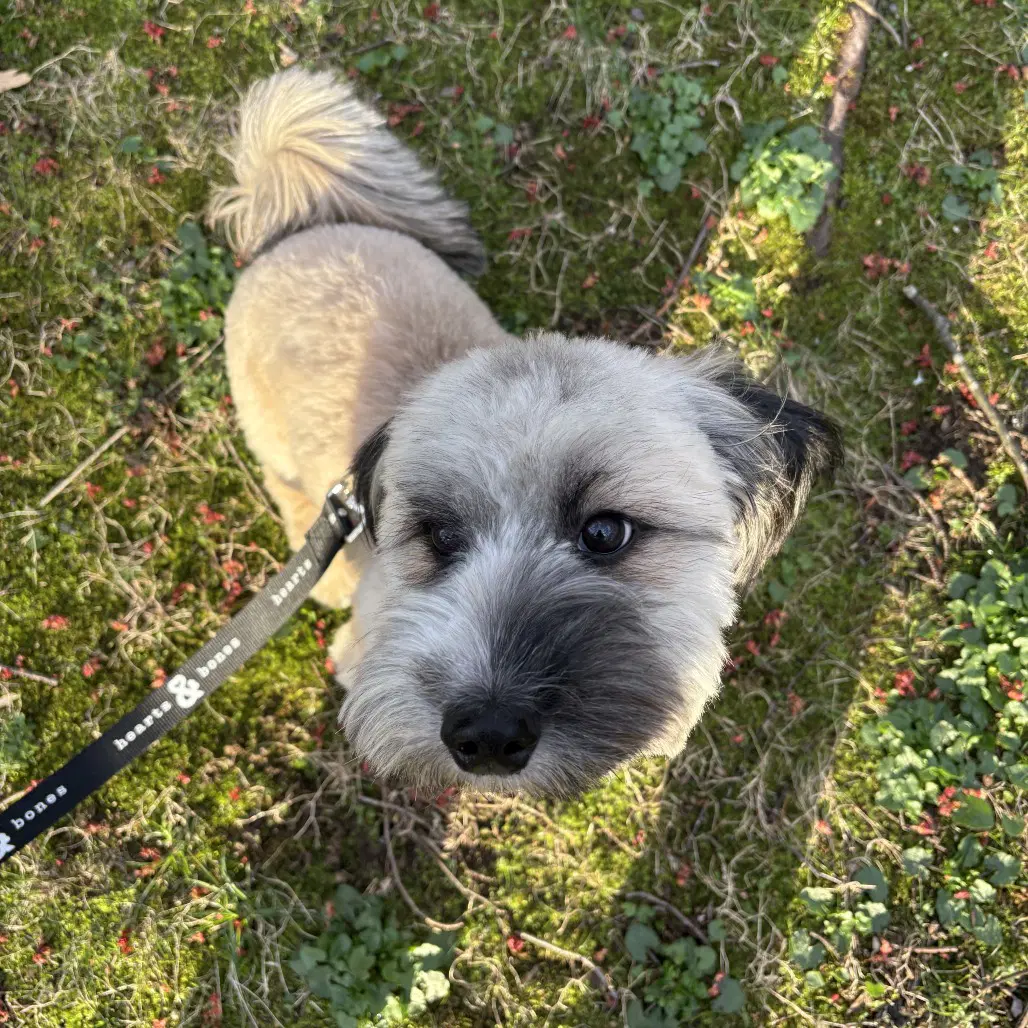 Albie image 3