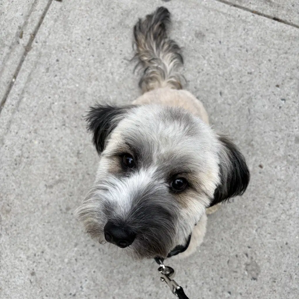 Albie image 4