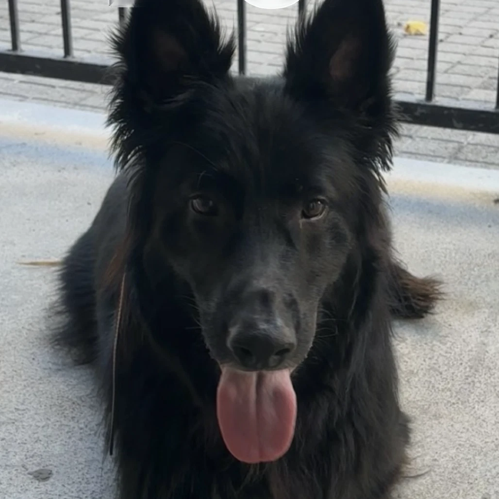 Onyx