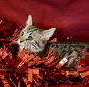 WINKIN - Photo 2