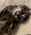 WINKIN - Photo 3