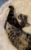 WINKIN - Photo 4