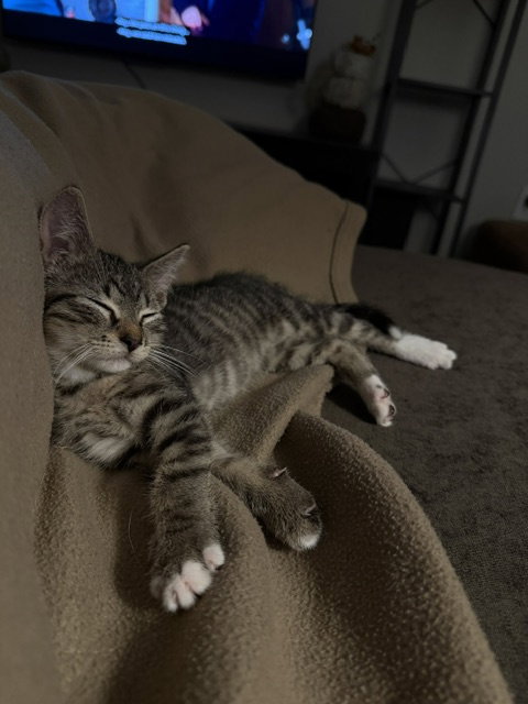 ENDER, photo 3