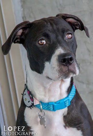 ANNABELLE "Annie", photo 21
