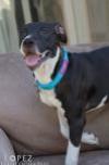 ANNABELLE "Annie", photo 23