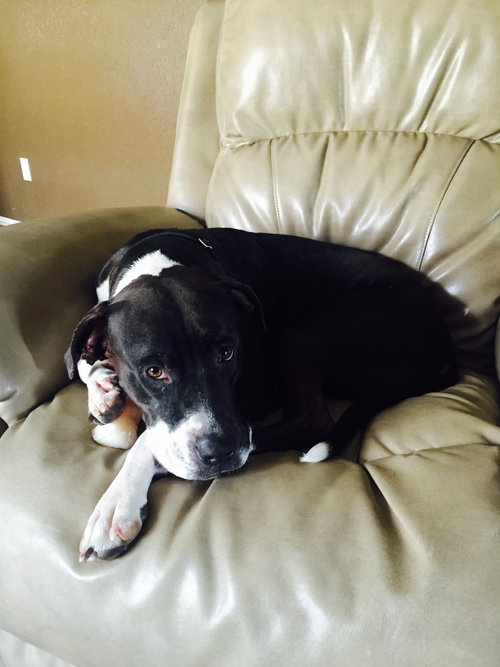 ANNABELLE "Annie", photo 19