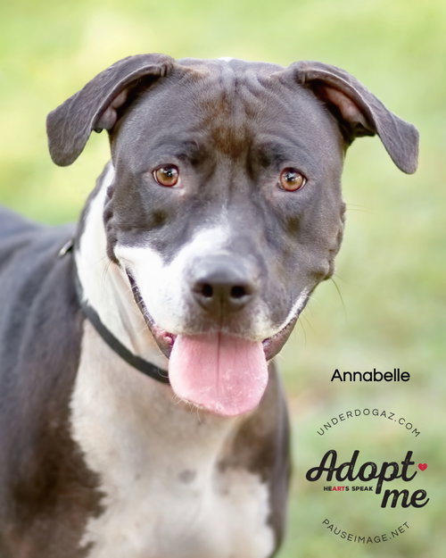 ANNABELLE "Annie", photo 12