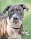 ANNABELLE "Annie" - Photo 13