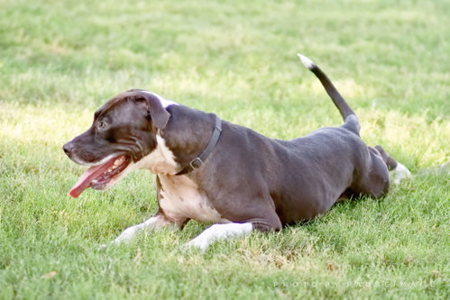 ANNABELLE "Annie", photo 14