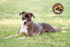 ANNABELLE "Annie" - Photo 9