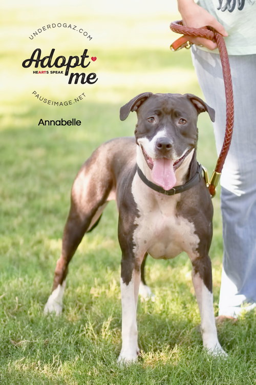 ANNABELLE "Annie", photo 15