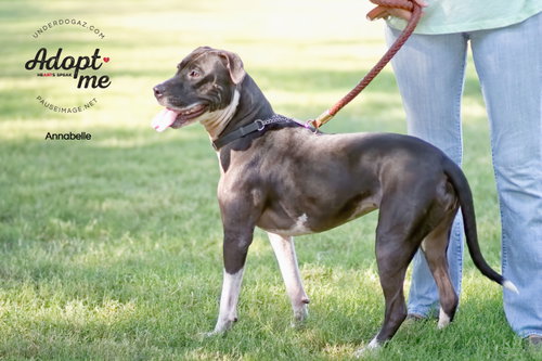 ANNABELLE "Annie", photo 16