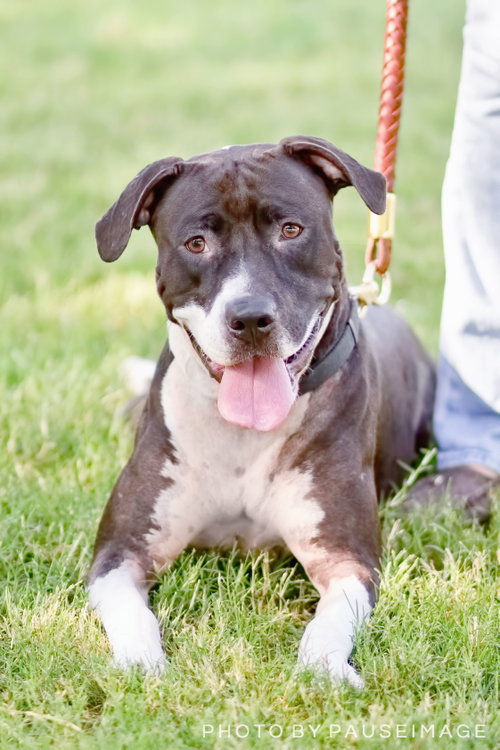 ANNABELLE "Annie", photo 10