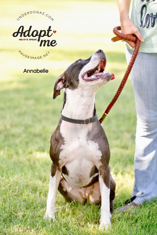 ANNABELLE "Annie", photo 17
