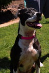 ANNABELLE "Annie" - Photo 5
