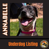 ANNABELLE "Annie" - Photo 3