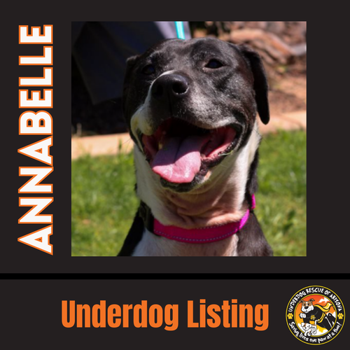 ANNABELLE "Annie" photo 3