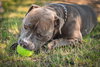 JUNIOR #5 - Photo 2