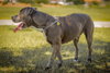 JUNIOR #5 - Photo 7