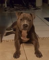 JUNIOR #5 - Photo 6