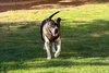 MOSLEY - Photo 3