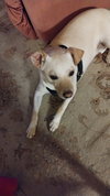 GASTON #2 - Photo 3