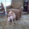 GASTON #2 - Photo 2