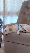 GASTON #2 - Photo 3