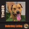 TIMBER - Photo 5