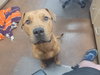 TIMBER - Photo 4