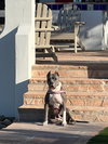 HEAVEN - Photo 5