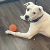 LEXI - Photo 5