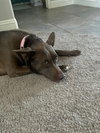 MARGO - Photo 4
