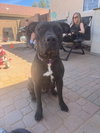 MOMMA - Photo 2