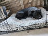 MOMMA - Photo 6