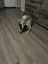 KOBE - Photo 4
