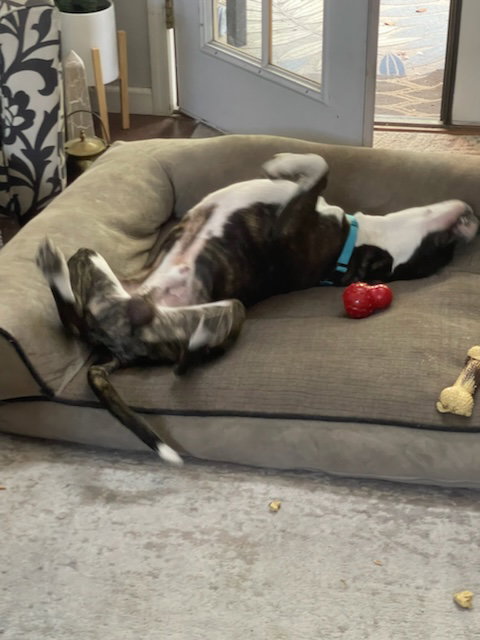 ZEUS, photo 7