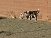 JACK #11 - Photo 3