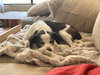 JACK #11 - Photo 4
